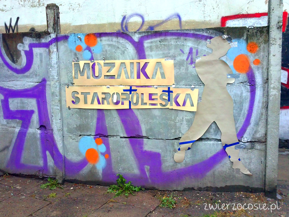 mozaika_staropoleska-2014-1